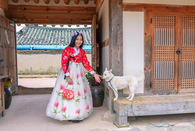 吃狗肉的韓國人　為什麼愈來愈少？