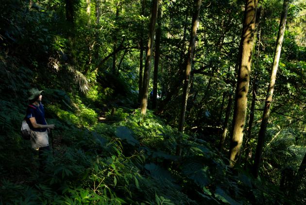 淡蘭古道-步道-雙溪-北勢溪-健行-OFF學