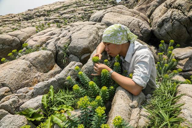 世界地球日-生物多樣性-環保-千里步道-齊柏林-植物方舟-林試所