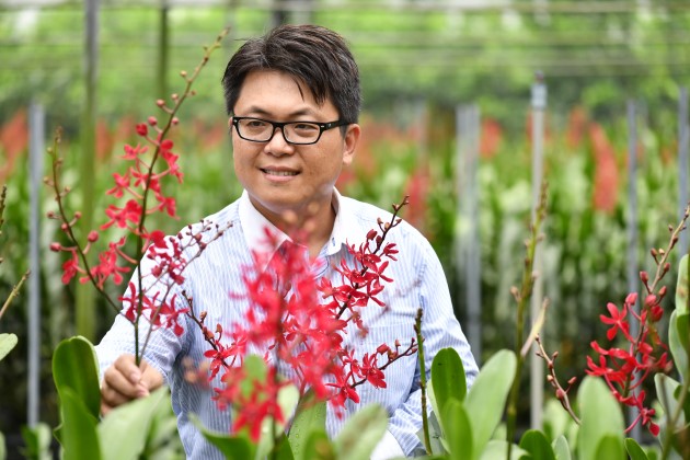 一熱，花就爛　台灣蘭花如何抗熱，還從泰國手上搶下日本五成市佔？
