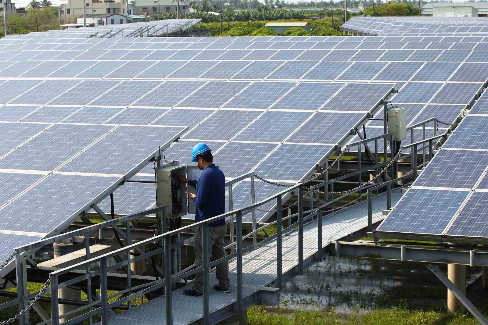 蘋果、Google都在搶　台灣綠電2020需求大暴增