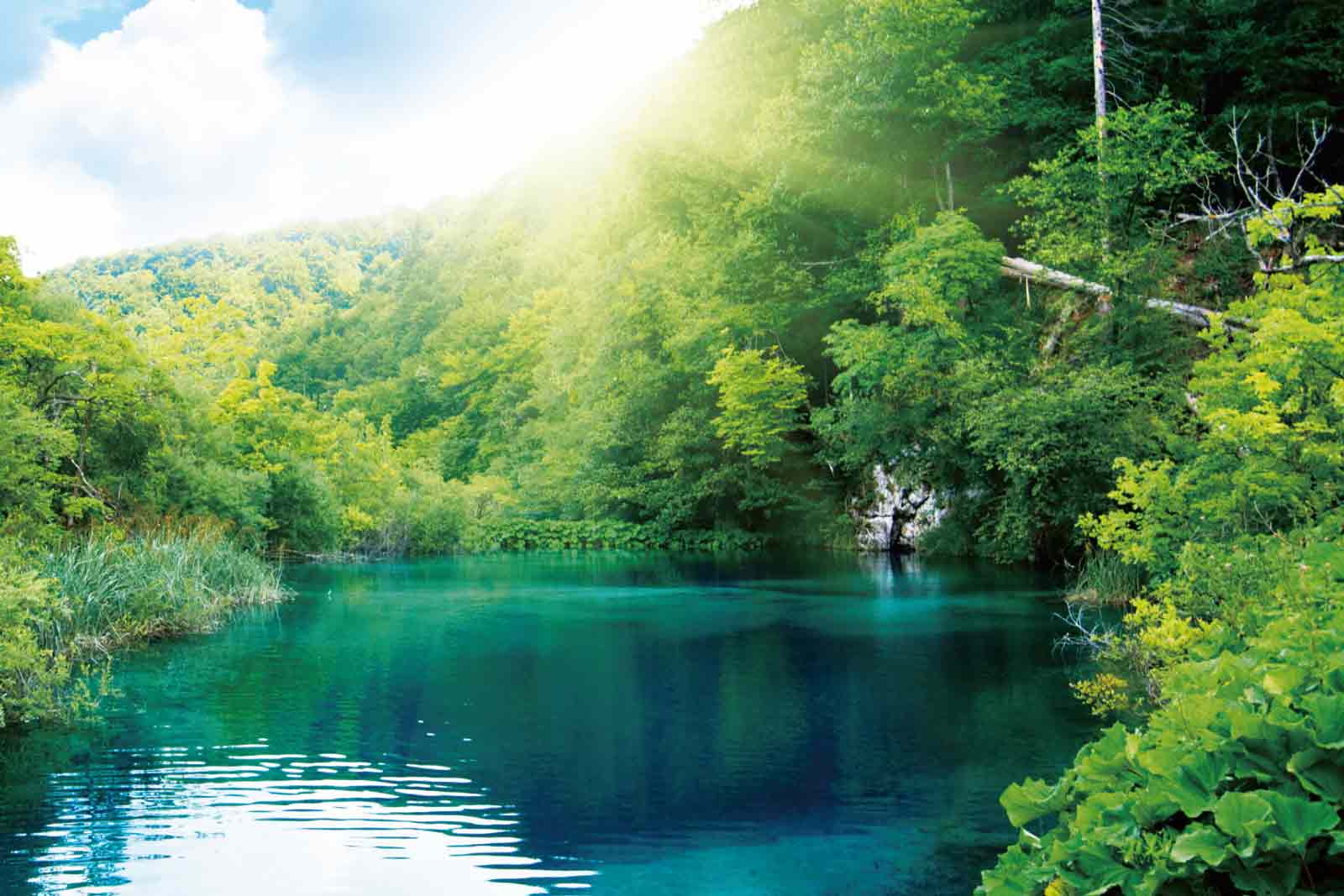 解無水之苦，台水公司投入無自來水地區延管供水