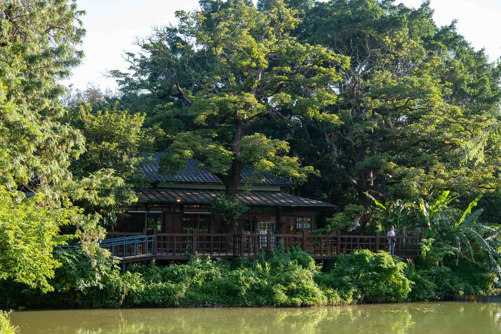 新竹公園-在地創生-打卡景點-湖畔生活-新竹動物園-客家美食