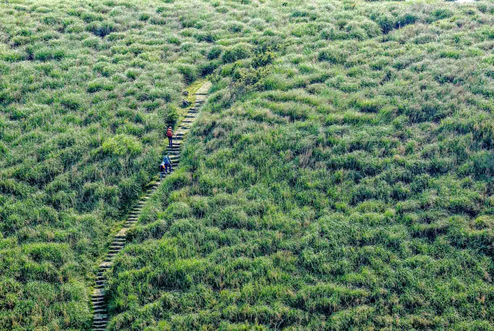 後疫情-國旅-體驗行程-小百岳-溯溪-台南-美麗台灣行-Lifestyle-沈方正