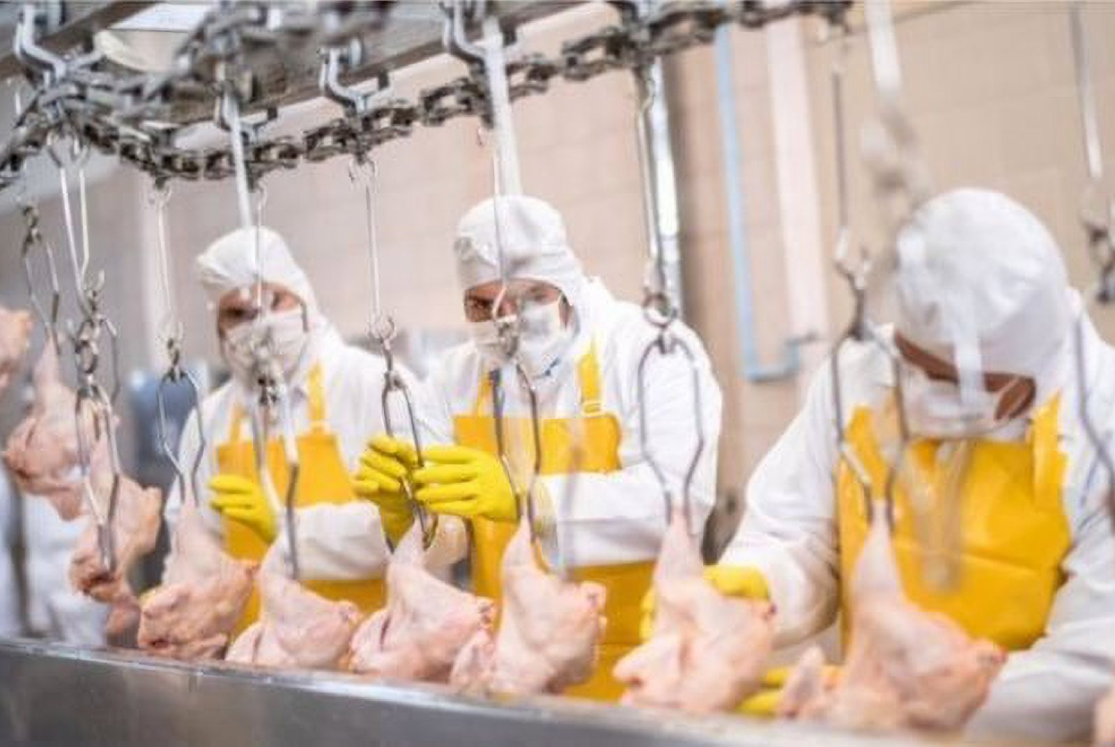 肺炎疫情：肉品加工廠為什麼成為重災區