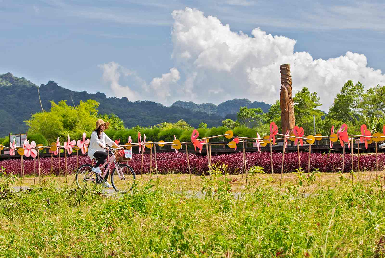 新冠肺炎-休閒農業-農場-旅遊-農委會-農遊券