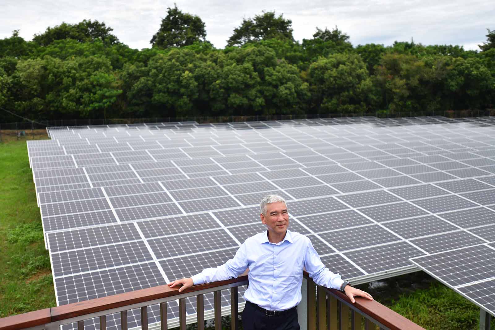60歲奇美毛利創13年新高！祕密就藏在一座不鋪水泥的綠能園區？