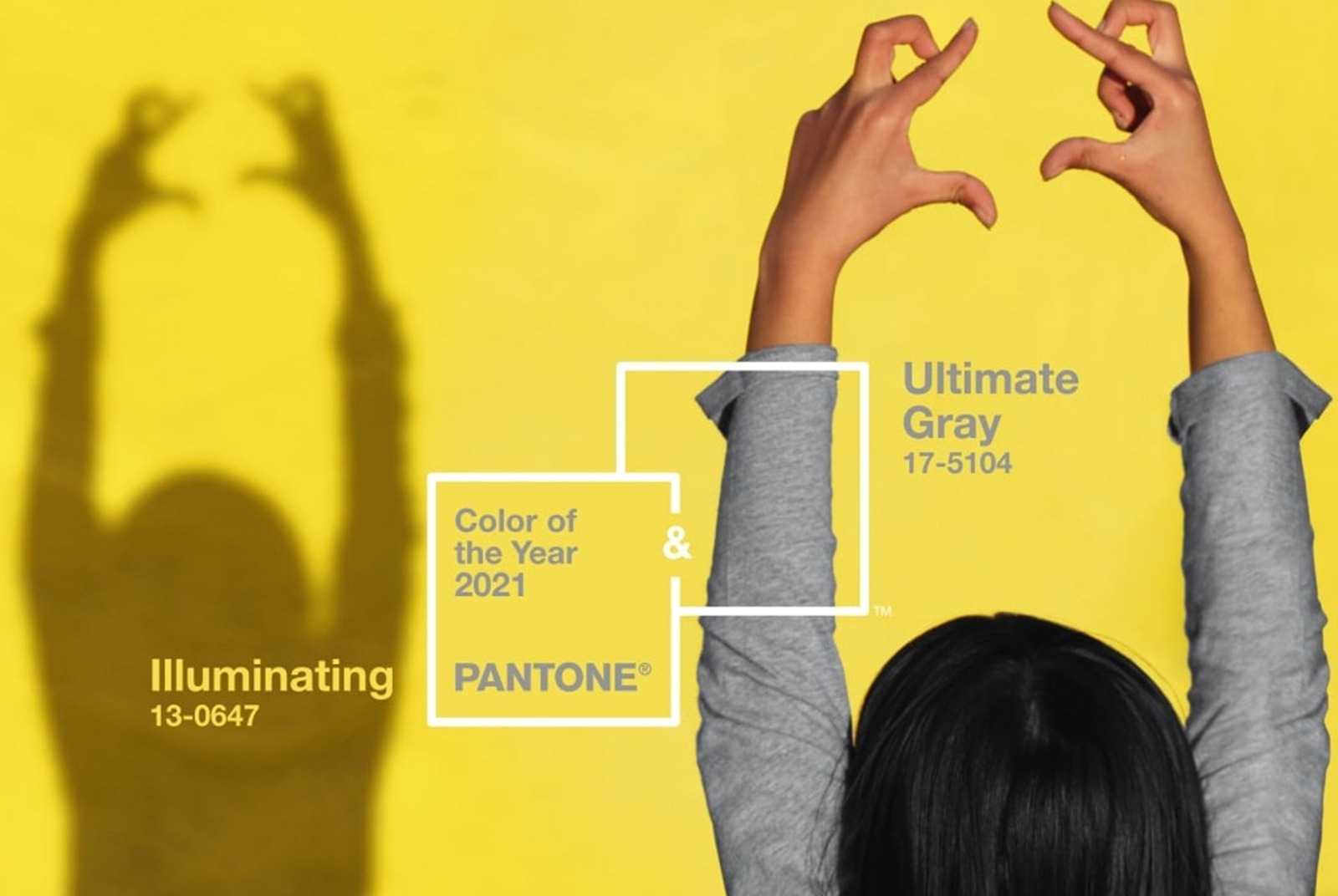 Pantone-年度色-2021年-亮麗黃-極致灰