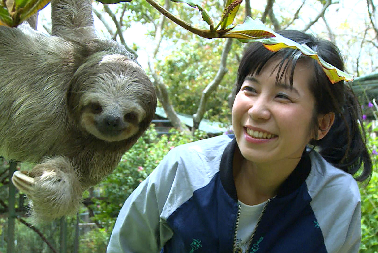 「很遺憾，牠最後沒活下來」一位記者在動物孤兒院，看見愛與重生