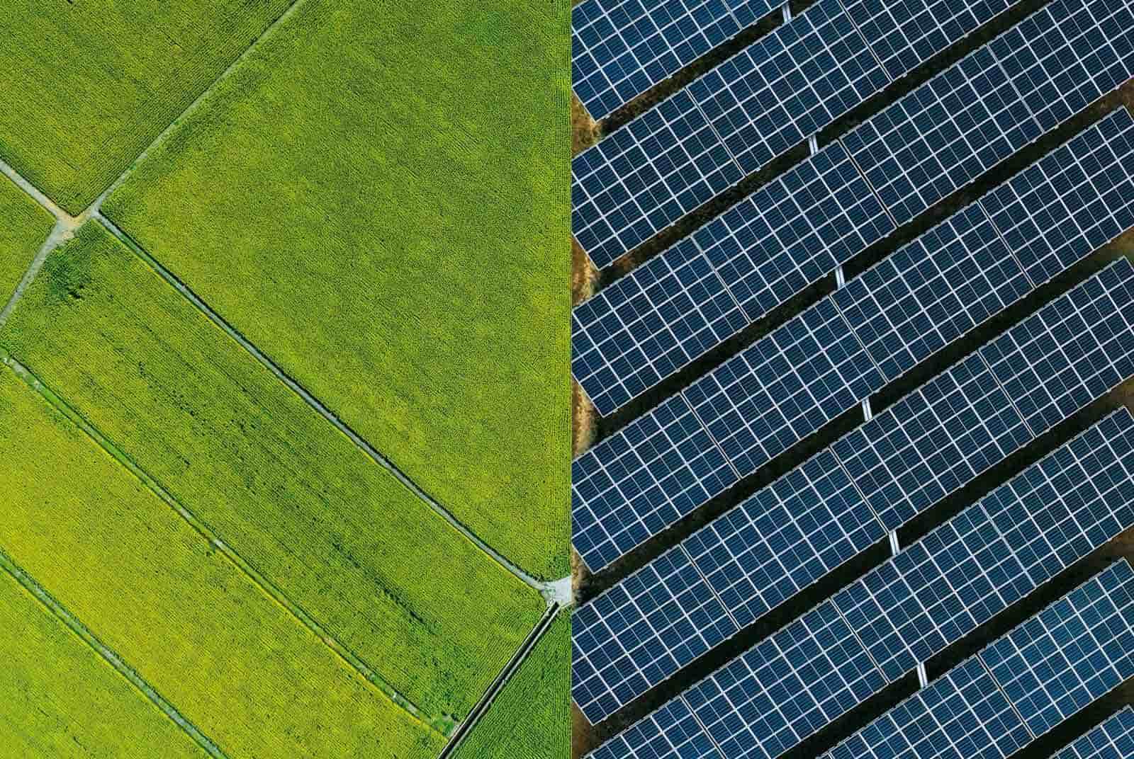 野蠻光電全台蔓延：這是我們要的綠電，還是一場發財夢？