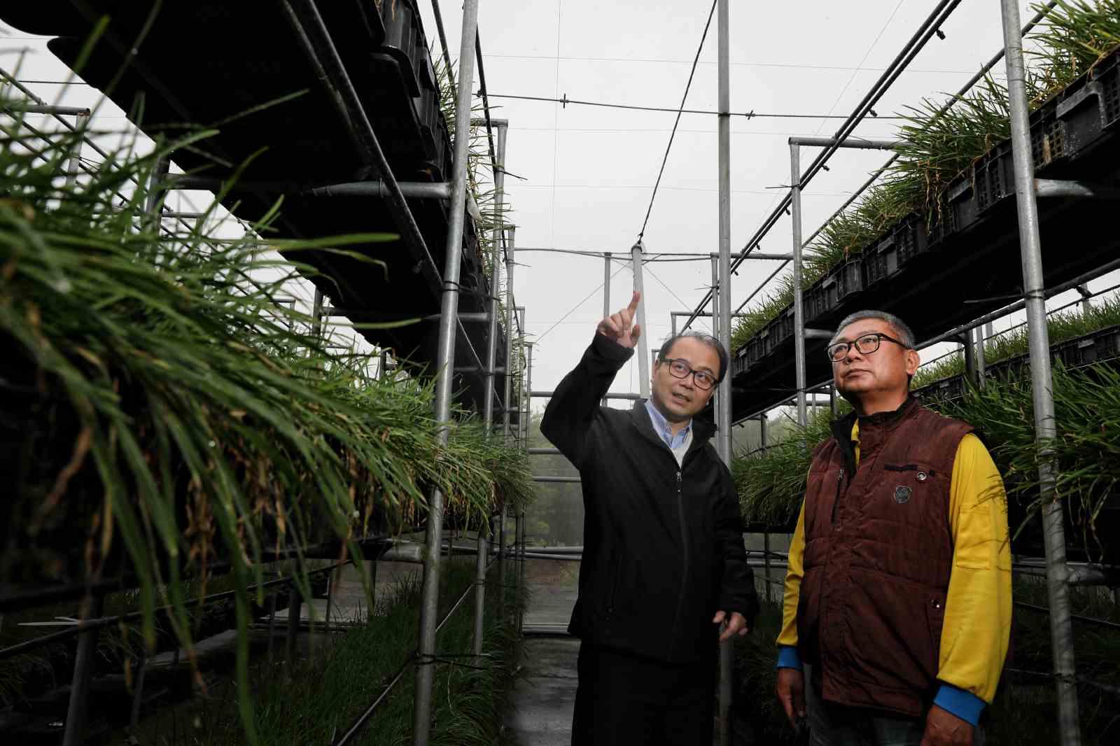 光電龍頭中租：不進苗栗、不擾石虎，三做法確保先漁再電