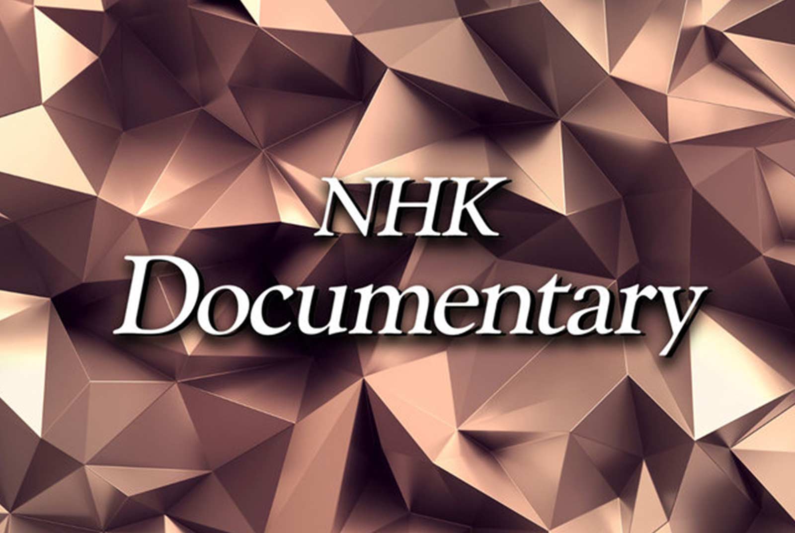 NHK“神奇東京”系列特別節目～ 分秒必爭的巨大鐵路網  準點運行秘密大公開！