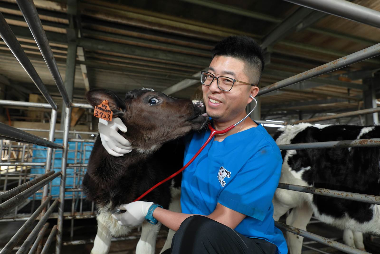 鮮乳坊營收破5億！叛逆獸醫師救牛奶，幫小農找回價值