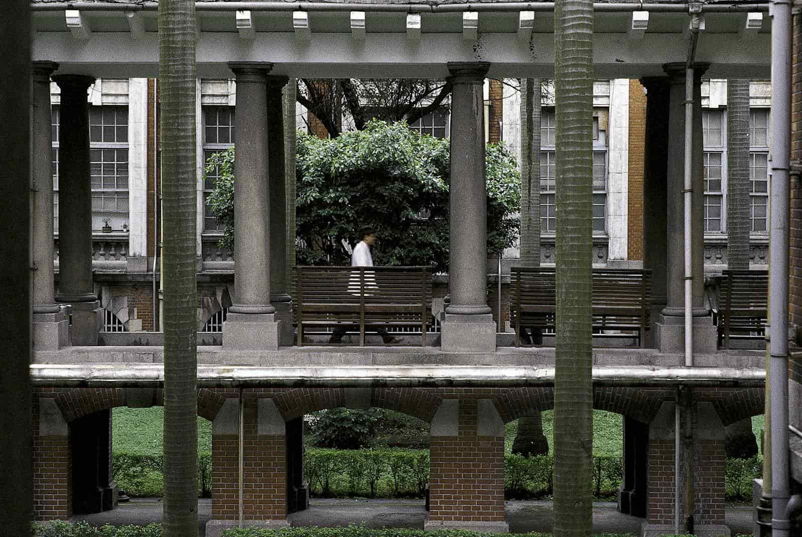 台大醫院 — 百年沈疾難下刀？
