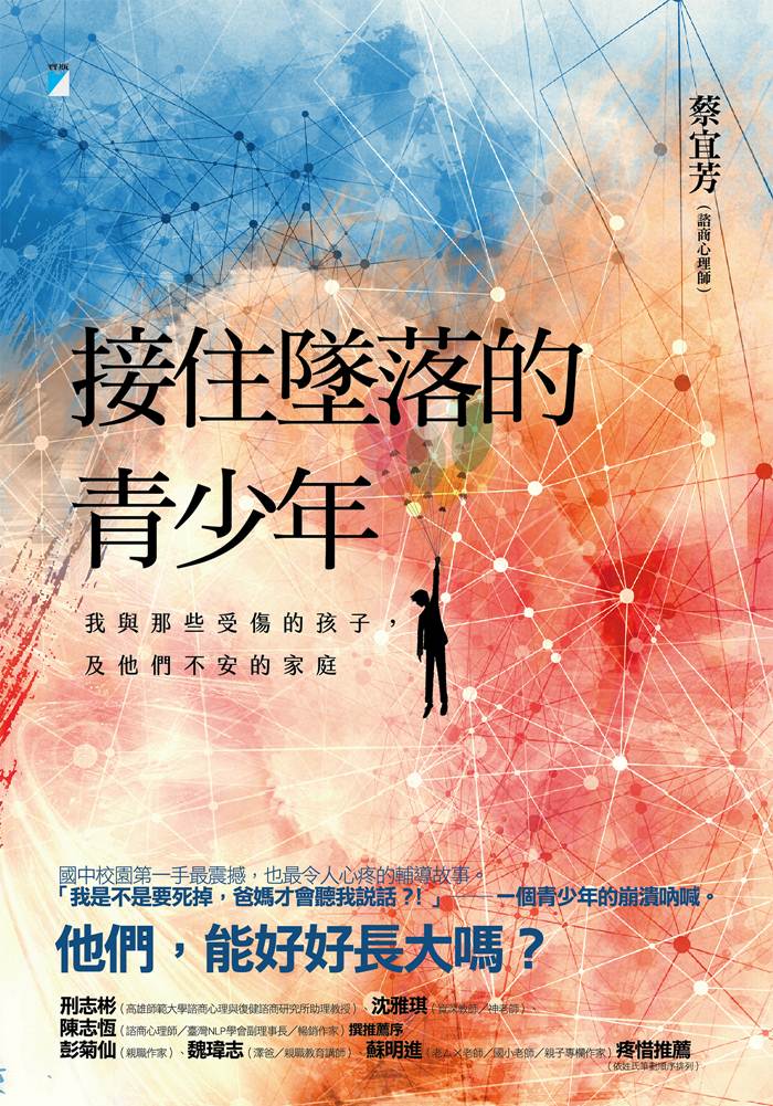 接住墜落的青少年：我與那些受傷的孩子，及他們不安的家庭