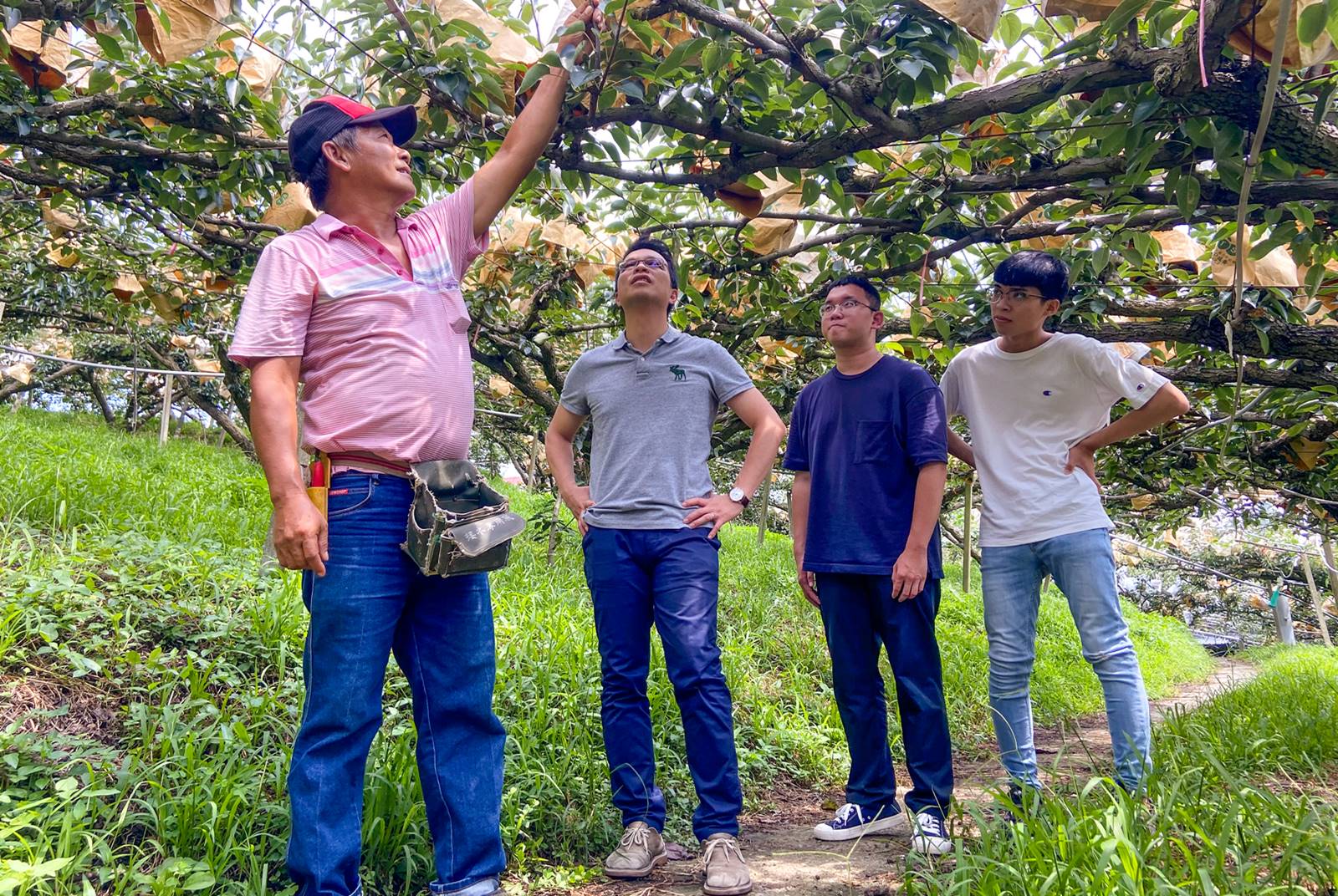 李明彥-中原大學-USR-苗栗-卓蘭-社會服務-社會企業-雙連梨