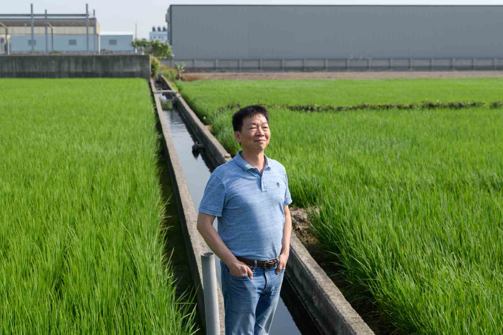 毒瘤遷出農地了！頂番婆拆違章領先全台　直擊首座「田園生產聚落」