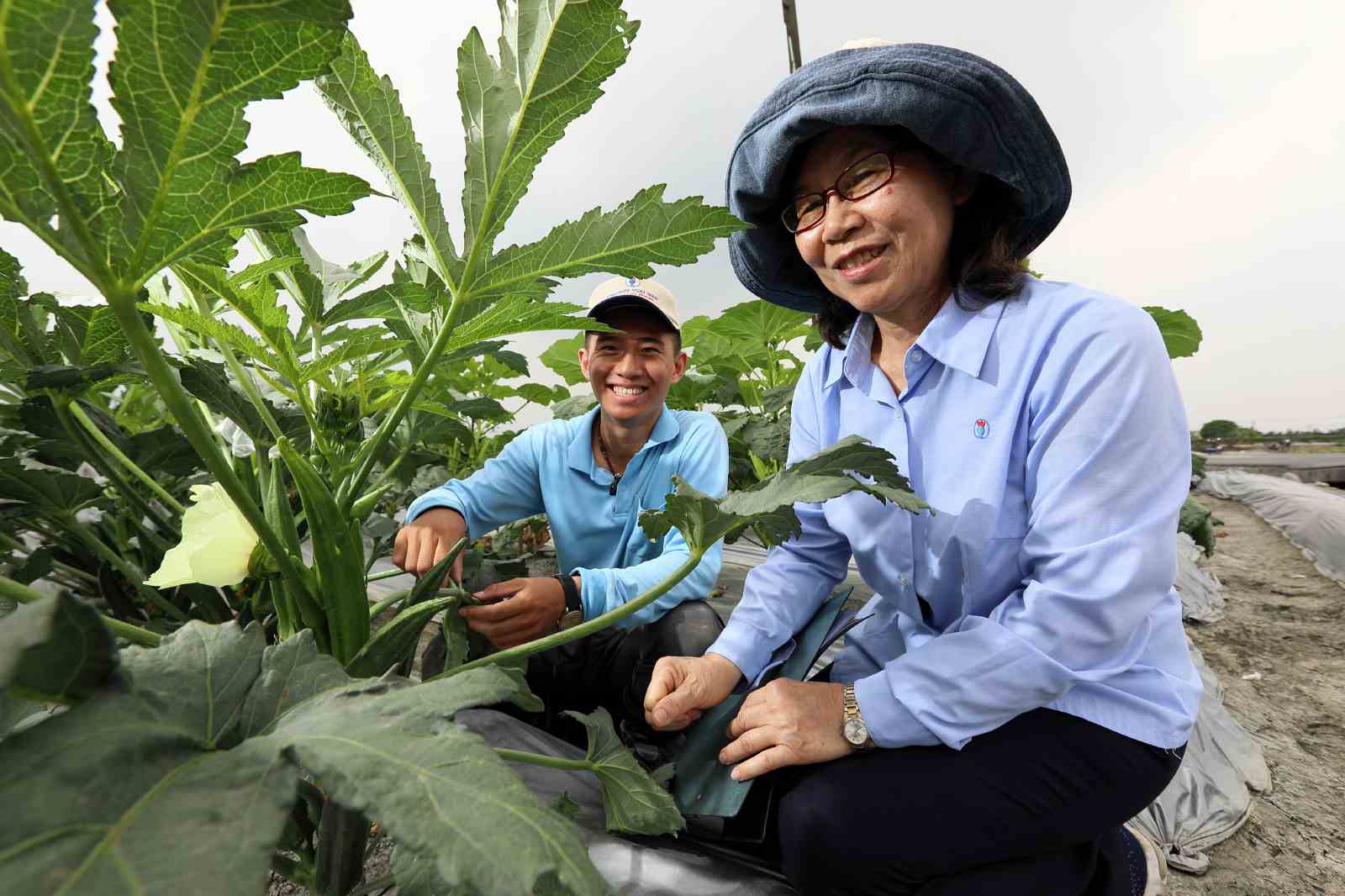 農友種苗-中高齡就業-師徒-數位化-農業-永續幸福