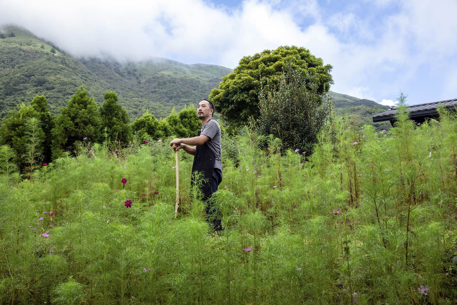 圓一場熱愛山林的夢！花藝生活美學家凌宗湧：我在陽明山種一座祕密花園
