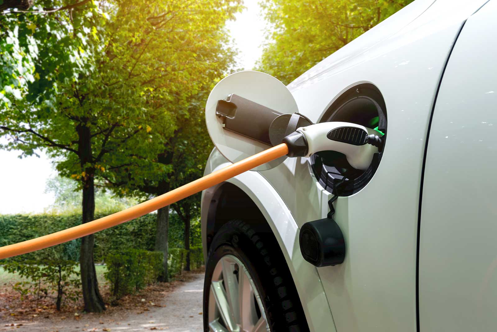 不用稀有金屬，電動車靠木質發電可能嗎？