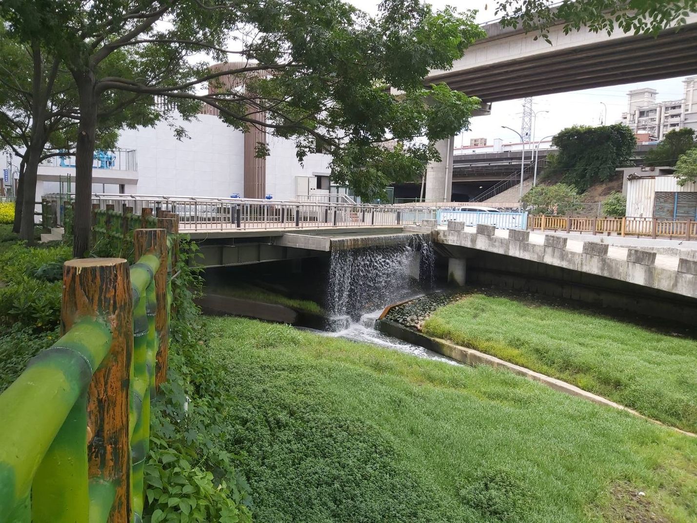 新北大河文明系列一》》十餘年治水大工程，告別新北四大黑龍江
