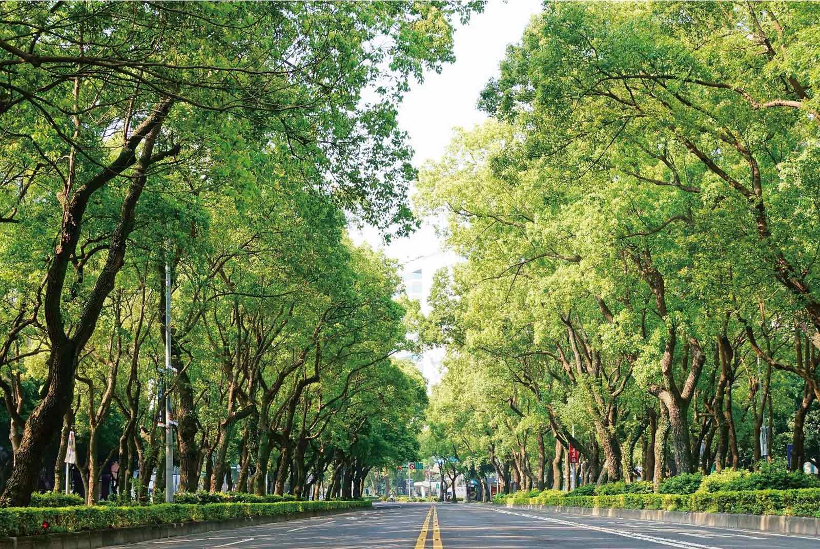 台北市-零碳台北-永續未來-SDGs-COP26-淨零排放