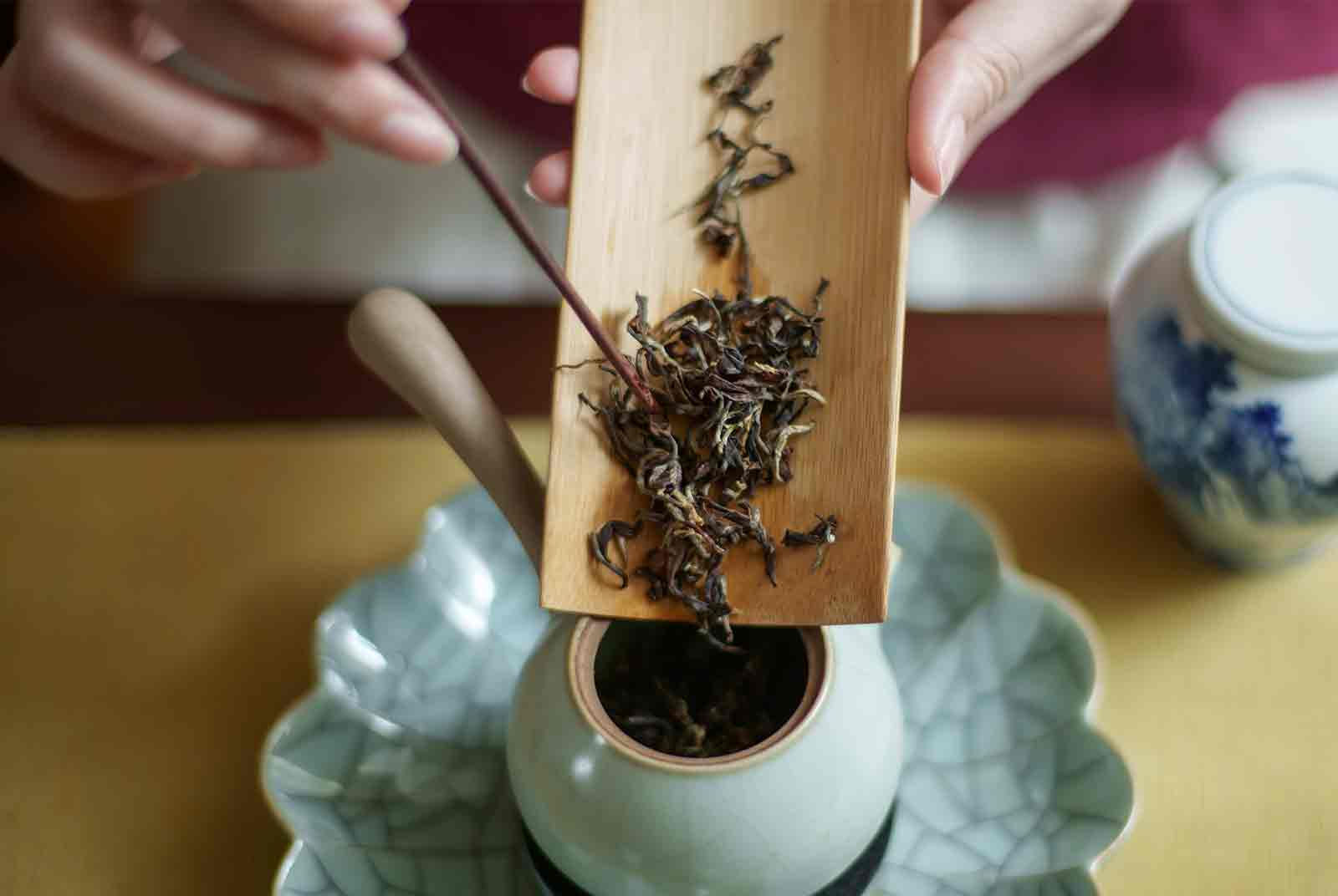 10分鐘三個月客房售罄　鞋王變茶王，寶成前董座蔡其建的第三人生