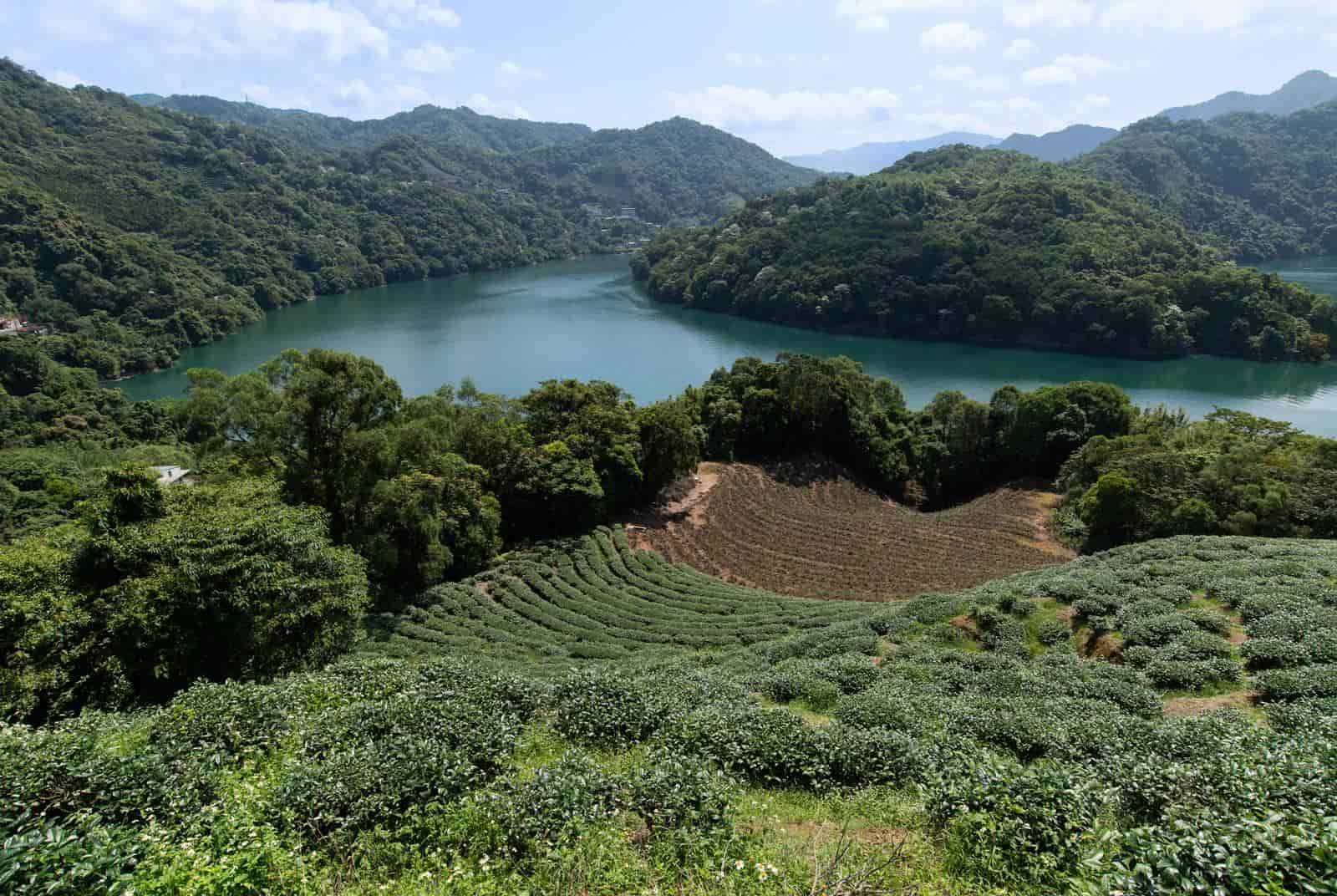 永續台灣夢-淨零碳排-極端氣候-全球暖化-缺水