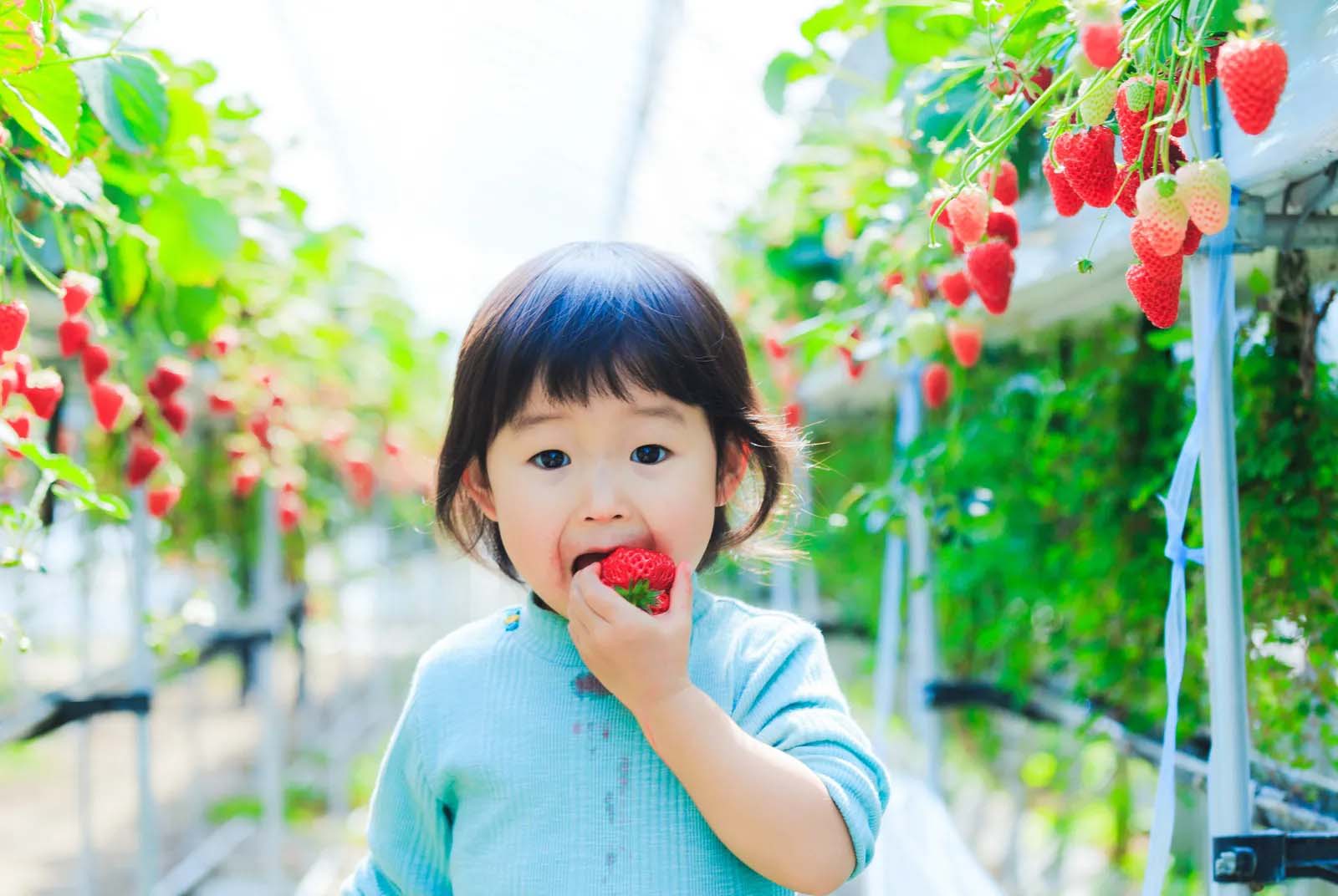 再崩潰也要帶小孩出門玩　家庭旅遊讓孩子更聰明快樂
