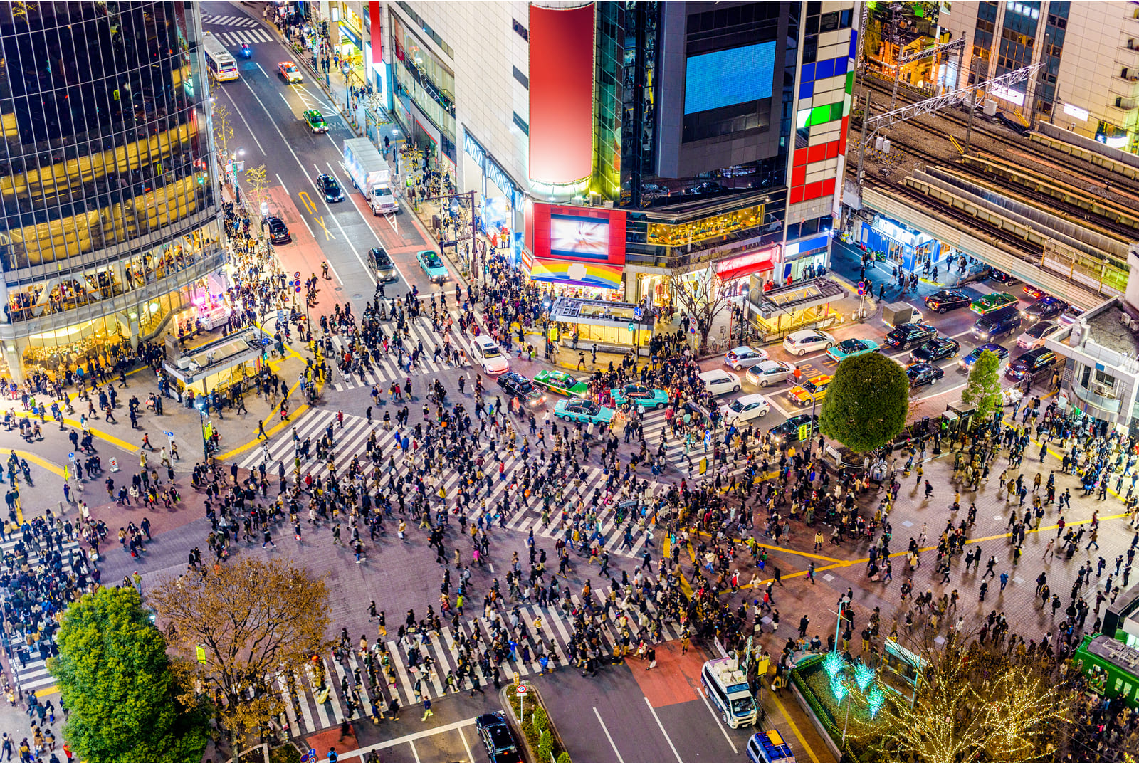 開國門一個月，國際觀光客僅1500人，日本觀光業還好嗎？