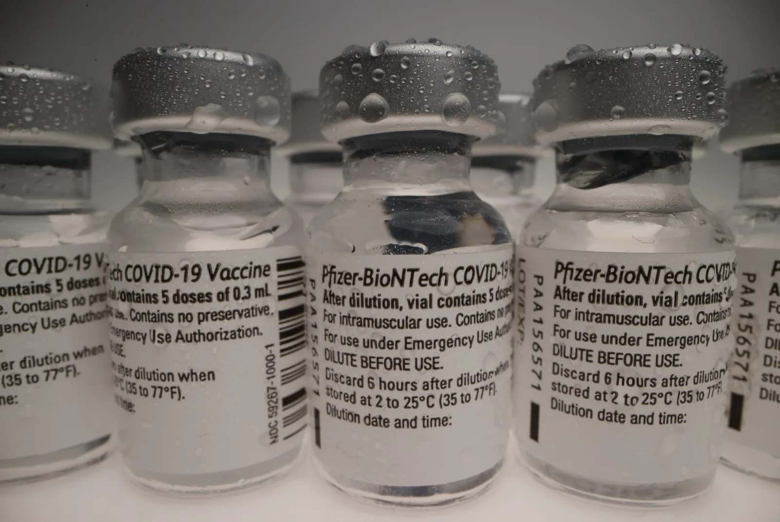 疫苗-新冠疫苗-輝瑞-BNT-鴻海-台積電-永齡