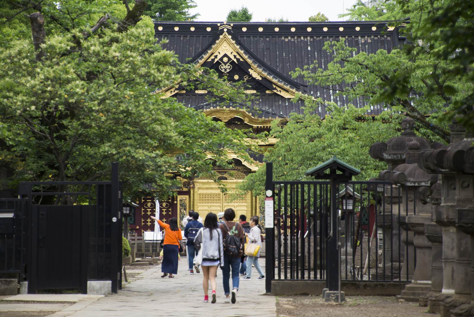 日本不是真的開放自由行？ 旅行業者曝：這點不改的話很難