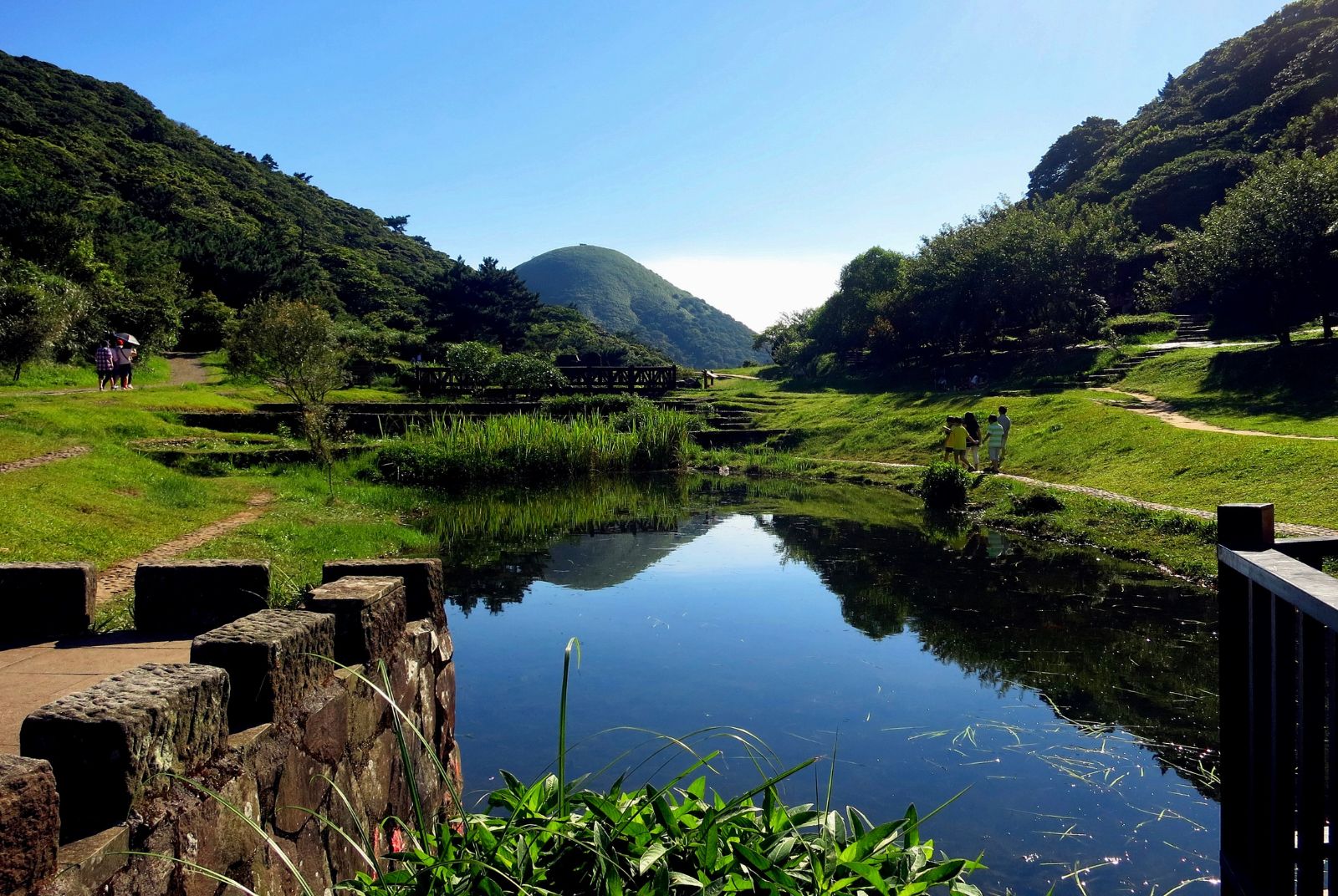綠色療癒都會心旅行