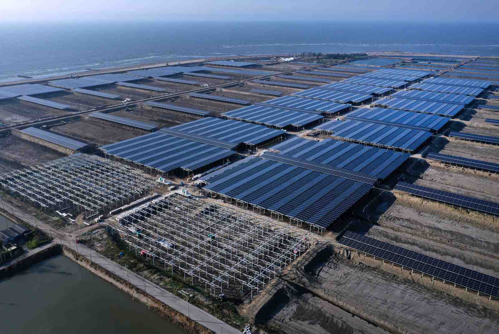 Google向亞洲買的第一度綠電在這　台南漁塭上，雲豹能源與漁民共好