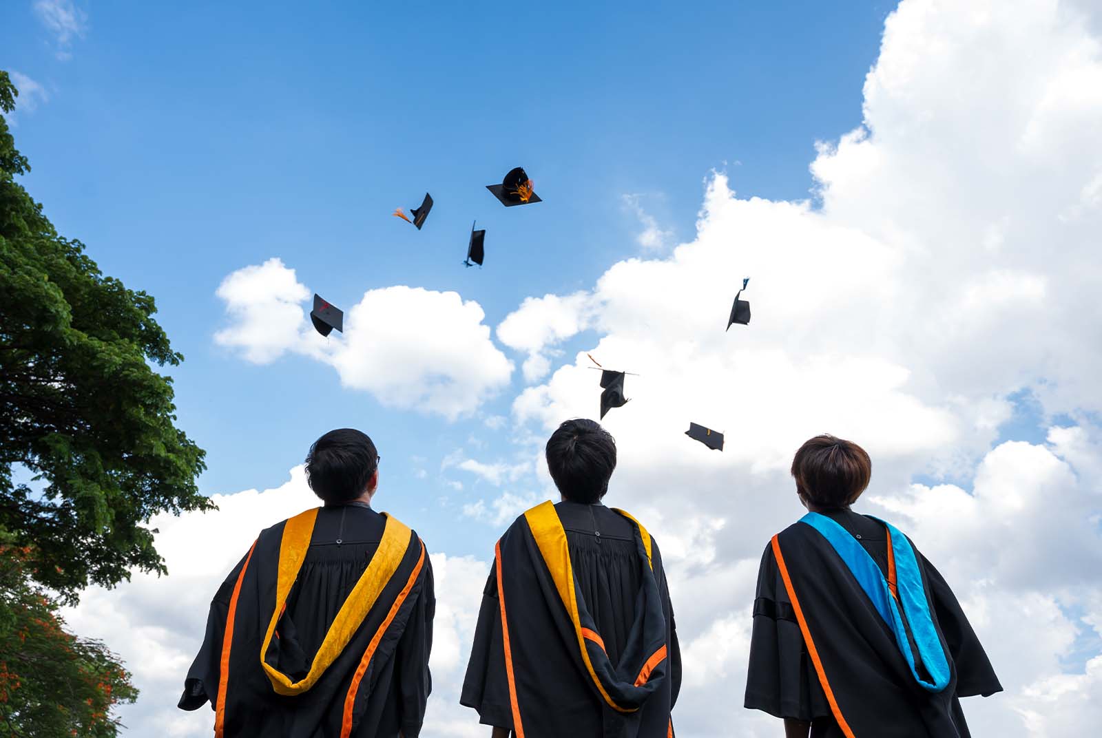 2023大學辦學績效》成大二連冠，龍華科大衝第二