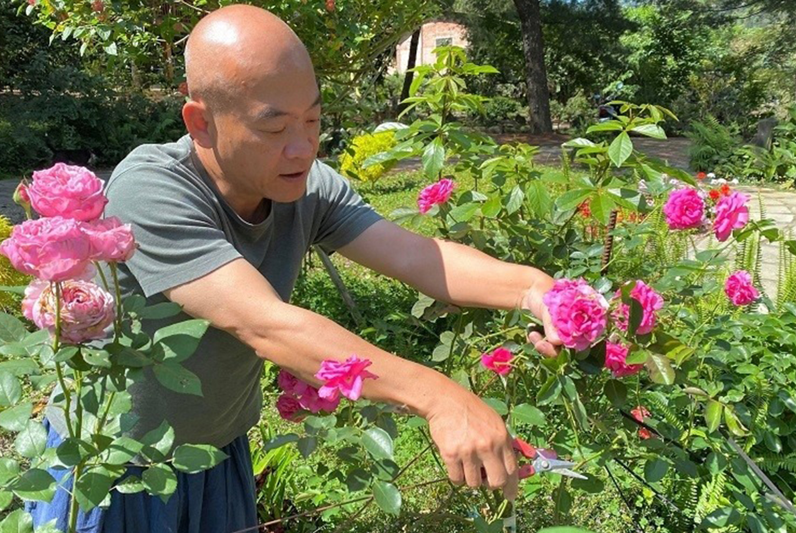 免疫系統整個當機！他拋下功成名就，遁入山林拾回健康