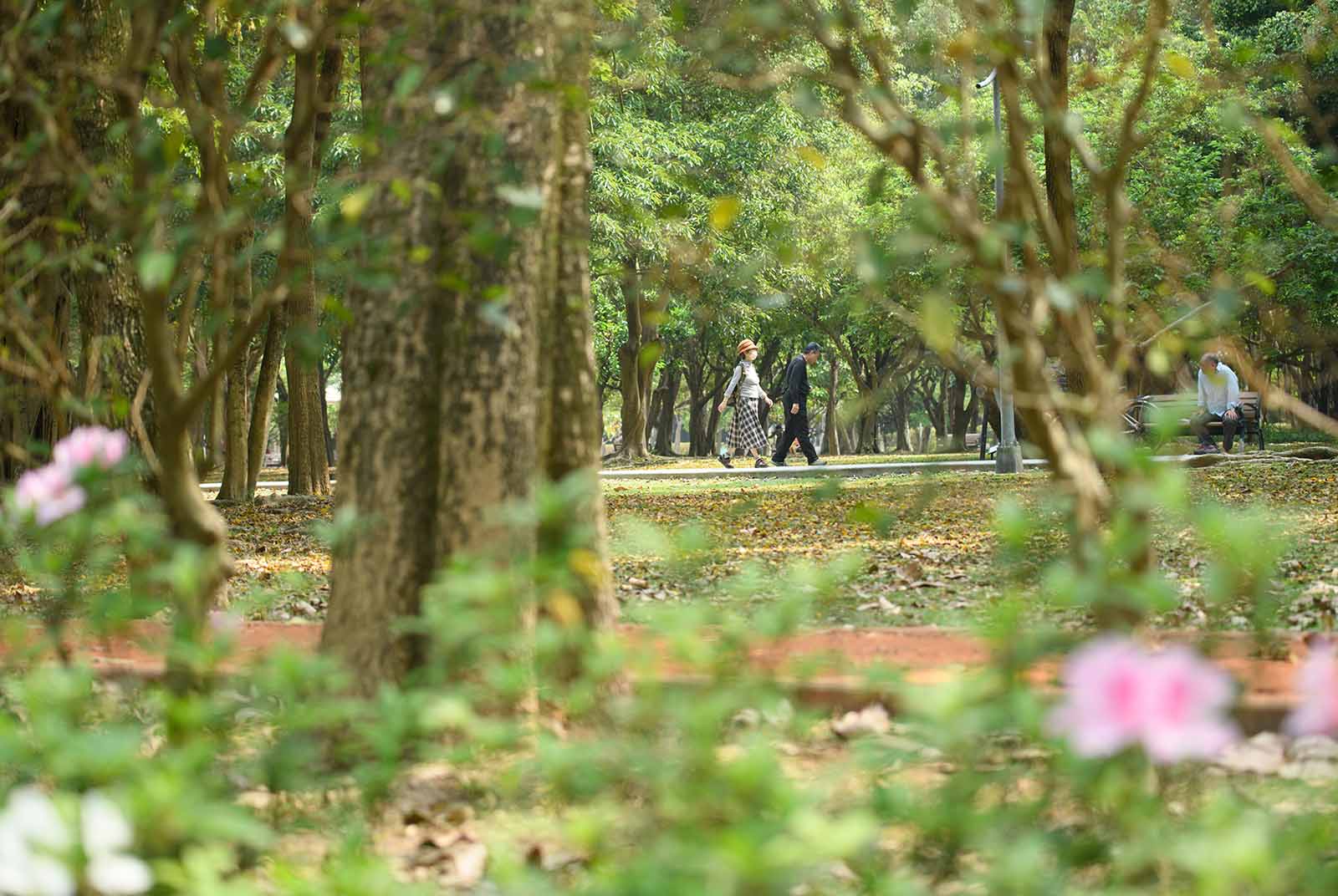 步道-走路-散步-台北-沈方正-健行-登山-教堂-大安森林公園-景美夜市