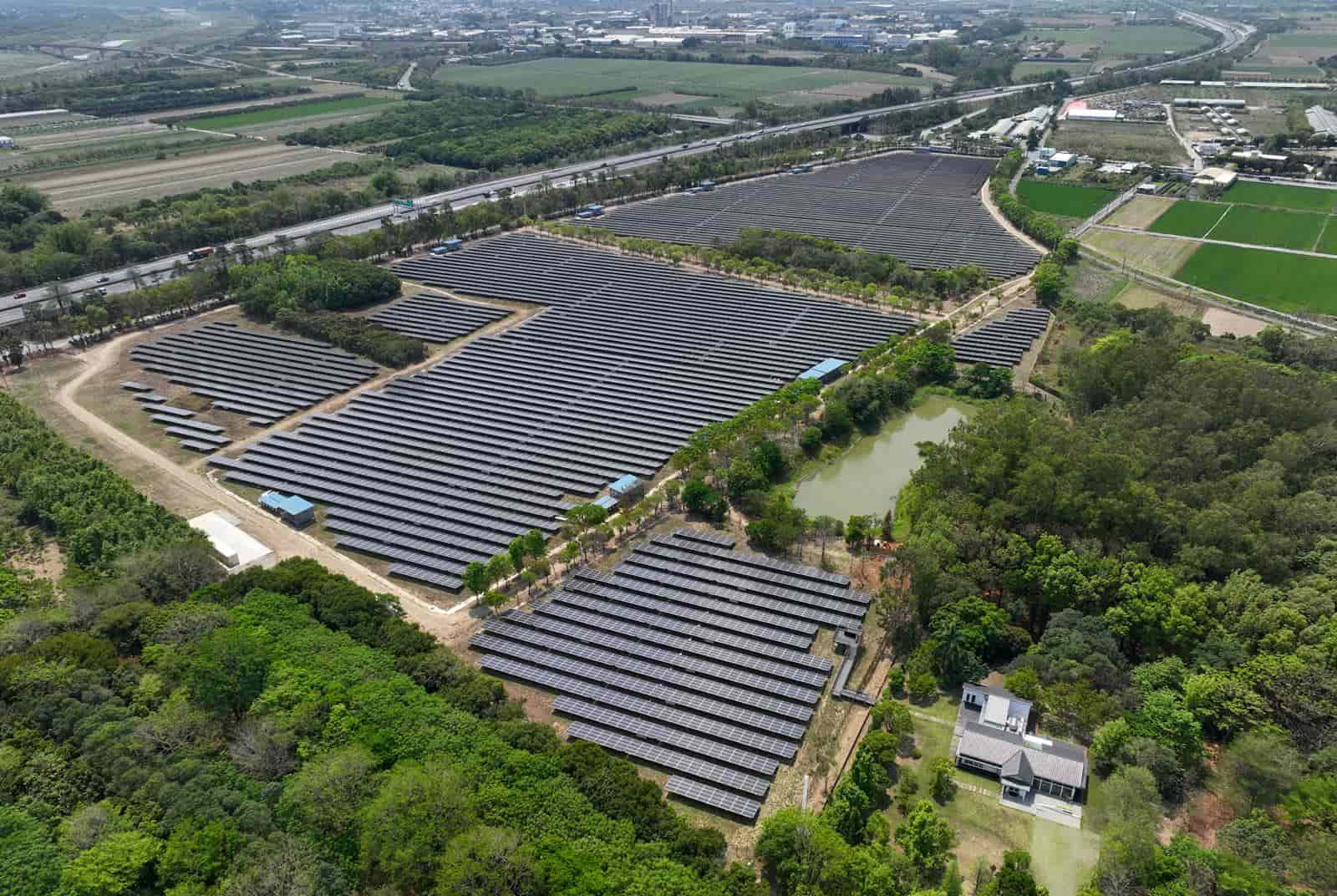 家裡有樹就能賣碳權？台灣成立碳權交易所，必看2迷思、4重點