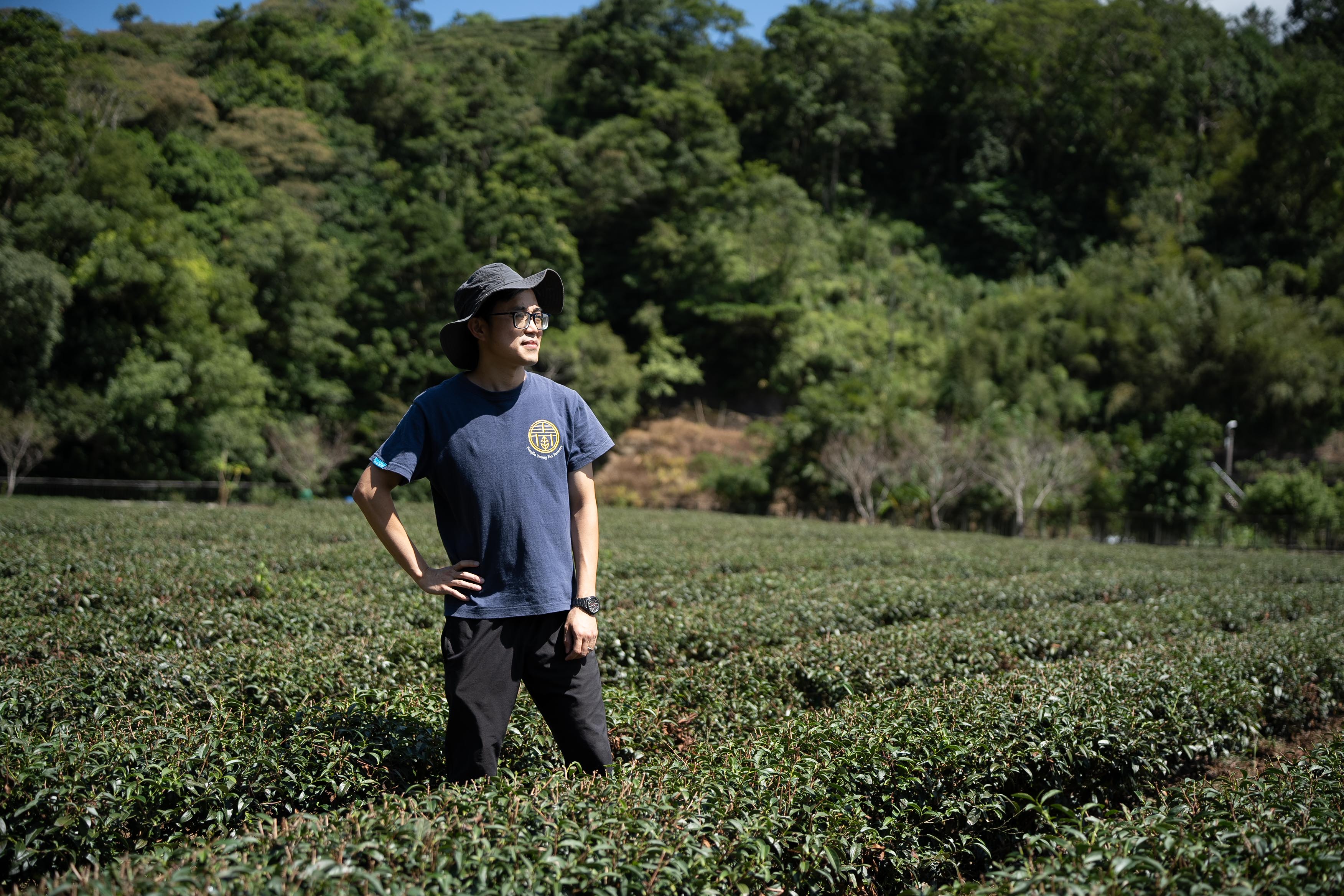 新北市政府-坪林-茶青-坪林青年茶業發展協會-零碳循環經濟示範區