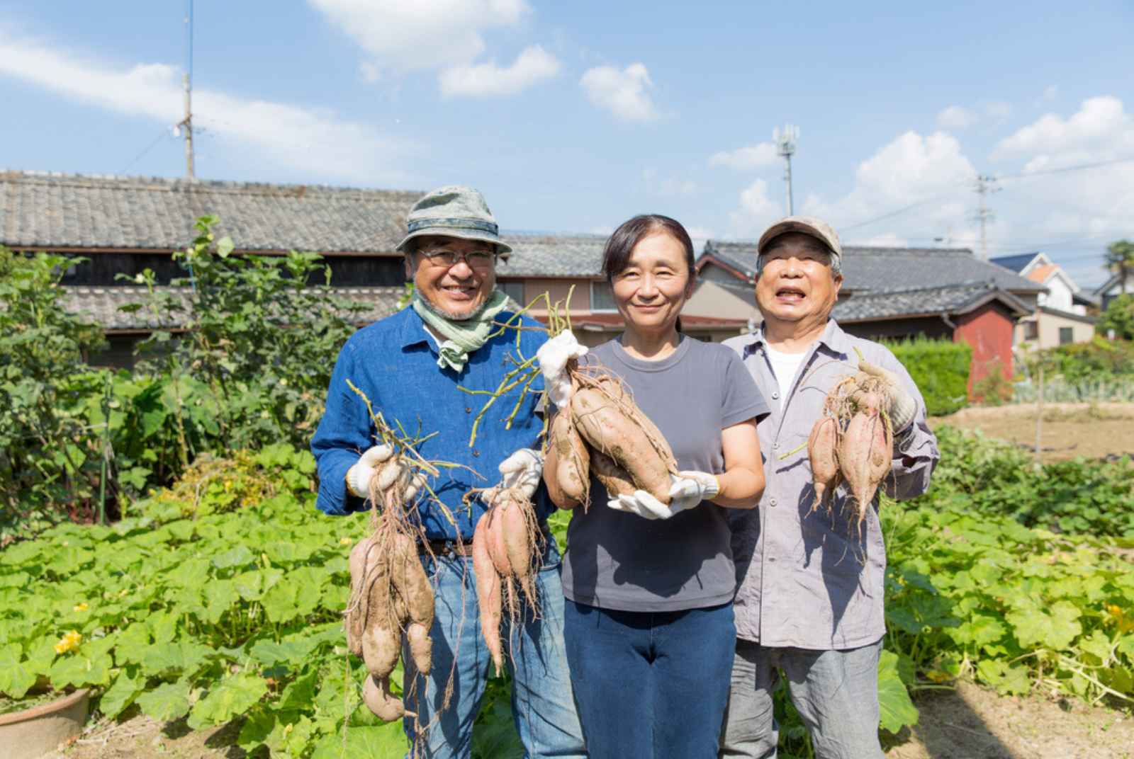 預防疾病，不只是要運動！美國醫學最新研究：每年100小時志工服務，身體改變了什麼？