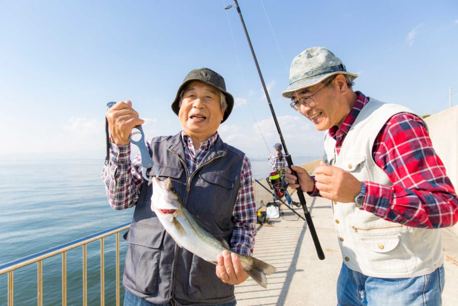 養生保健-幸齡生活-和田秀樹-心態-建議
