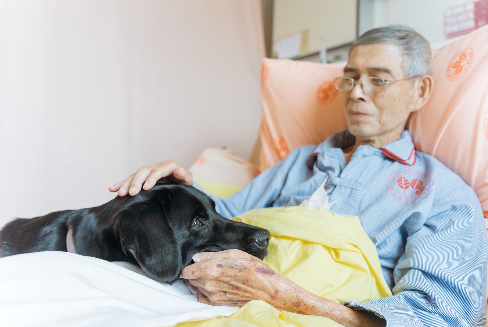 社會創新-輔助治療犬-導盲犬-安寧病房-安寧照顧-安寧療護