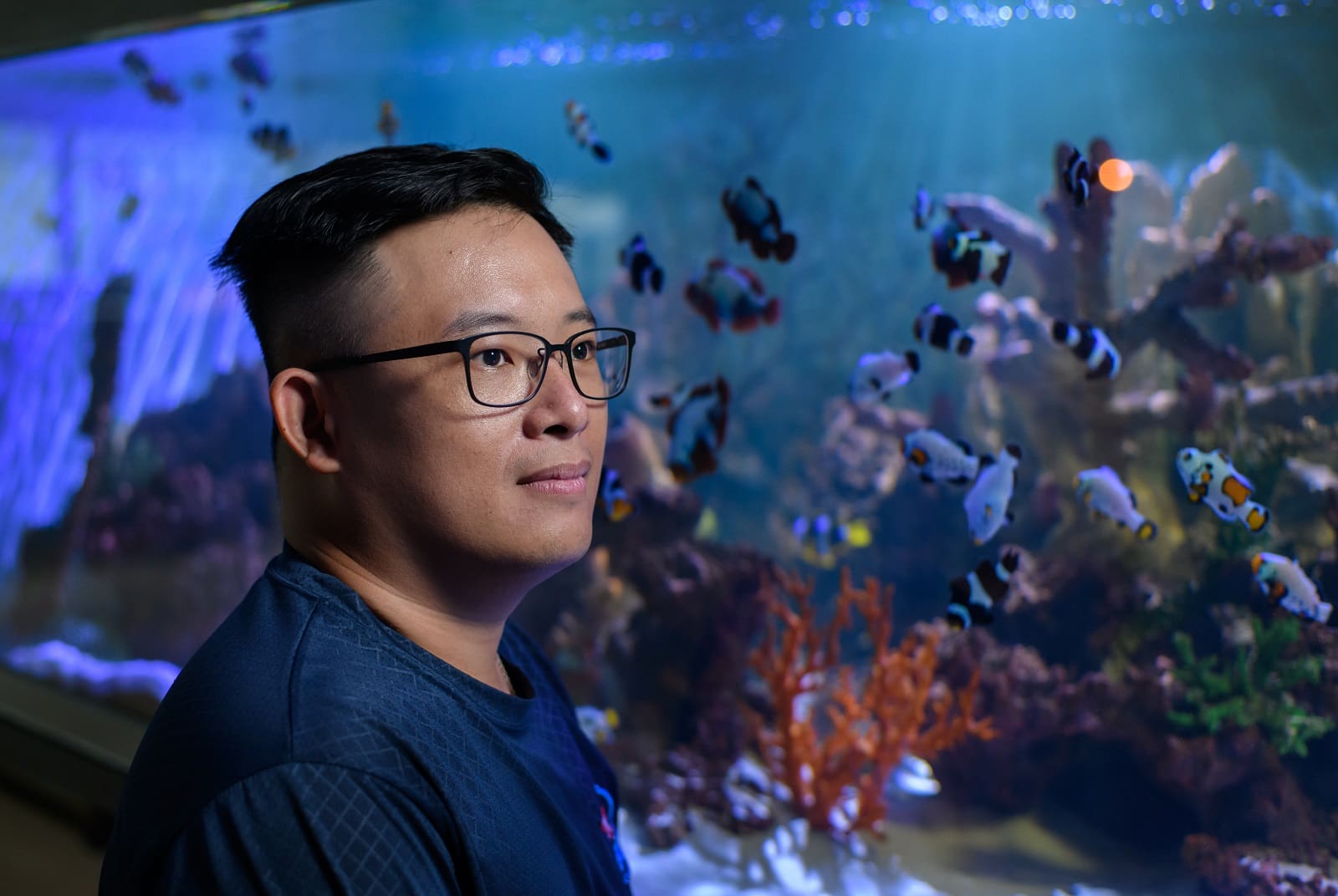 小丑魚-盛天合-新創-鹿港-水產養殖