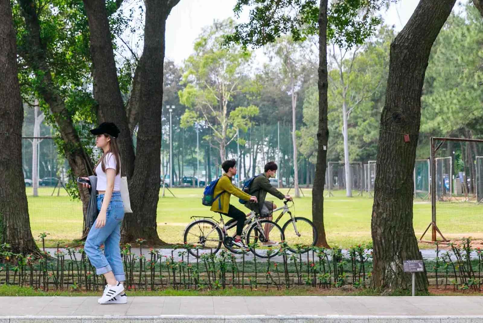 學務長-大學-主管-行政