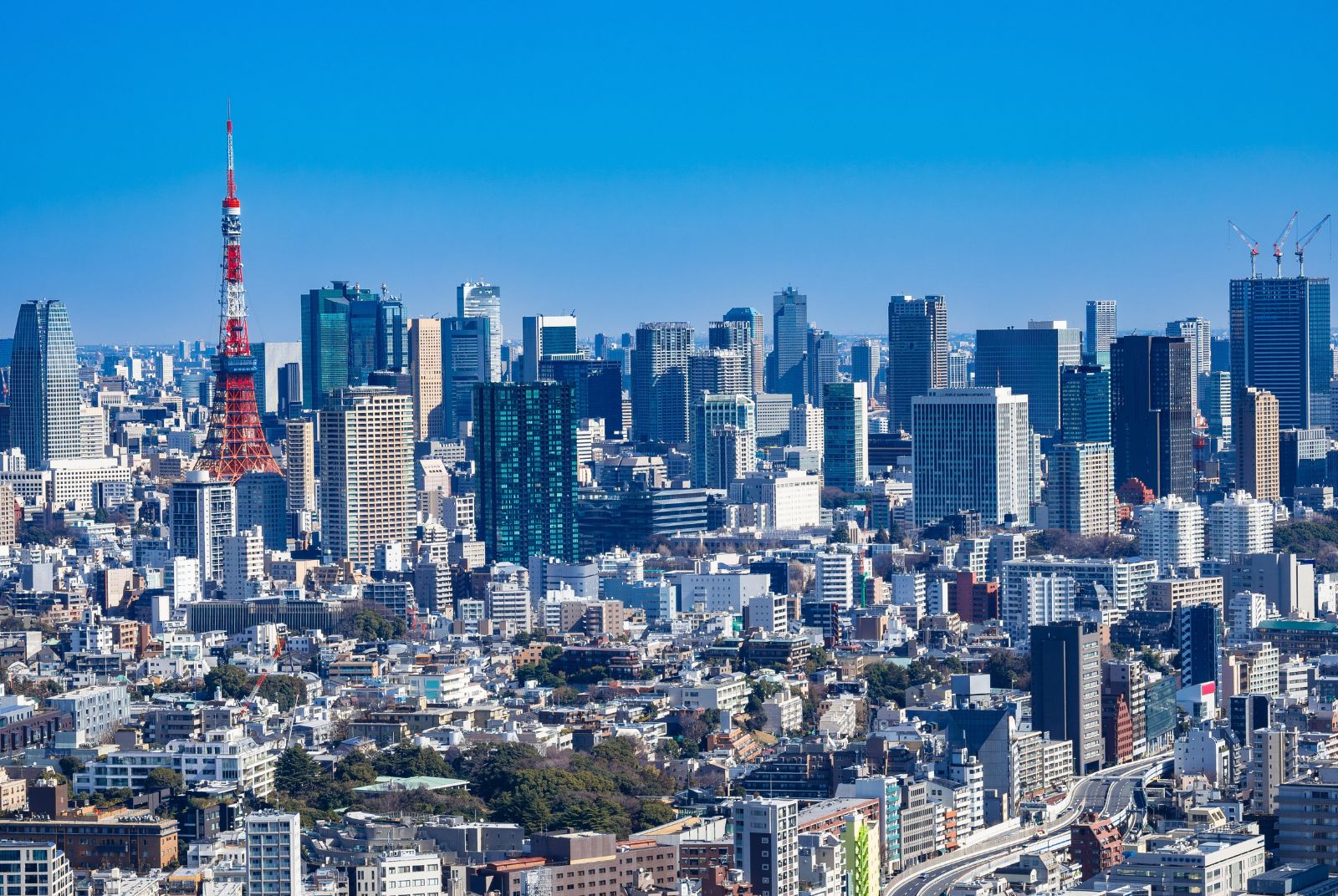 信義房屋-日本事業部-地產投資-高塔式住宅-耐震