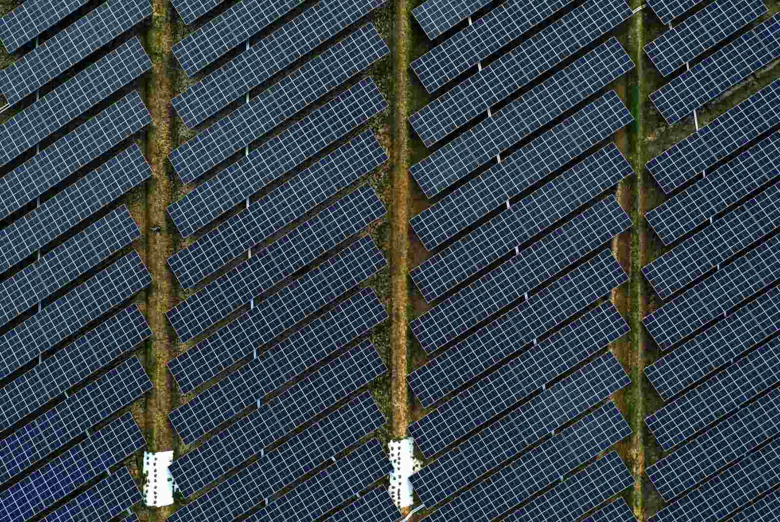 太陽能權威藍崇文喊話童子賢：台灣要多10GW電力，太陽能絕對可行，核電辦不到