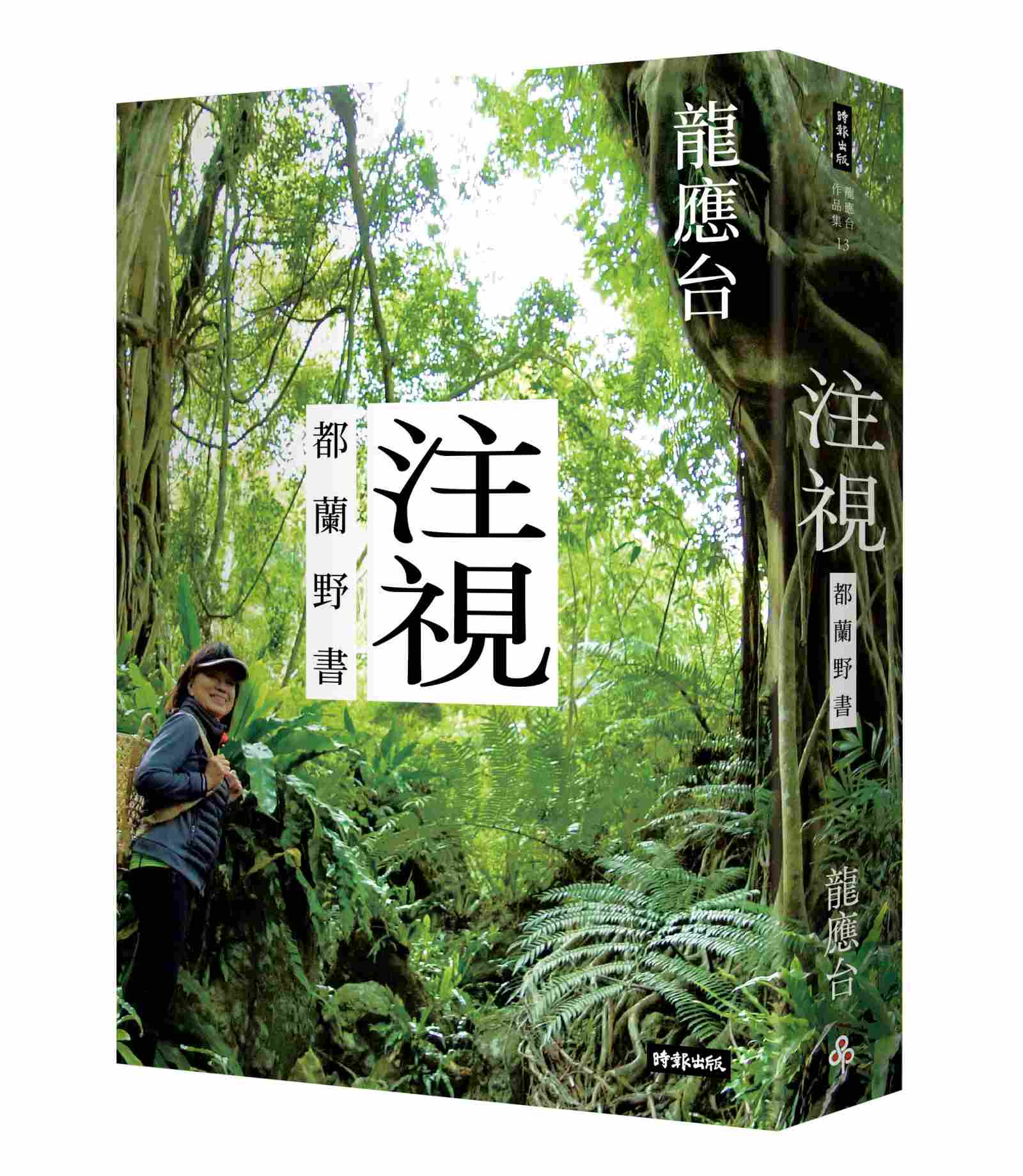 注視——都蘭野書