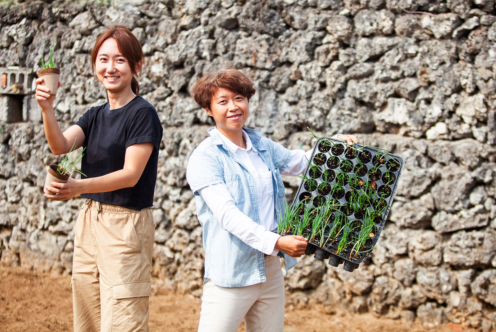 國發會-澎湖限定-農業地景-澎湖菜宅翻轉計畫-農業復興運動