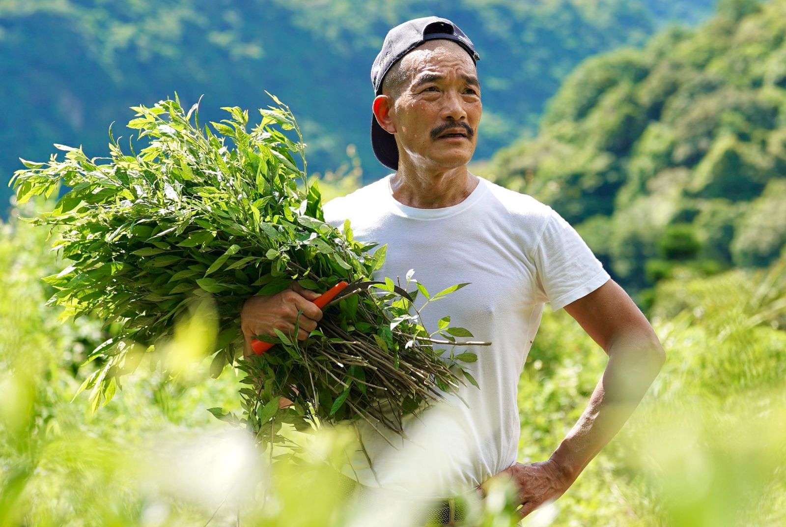人力續航-阿原肥皂-地方創生-腦內啡-孤獨-印度瑜珈-退休男性