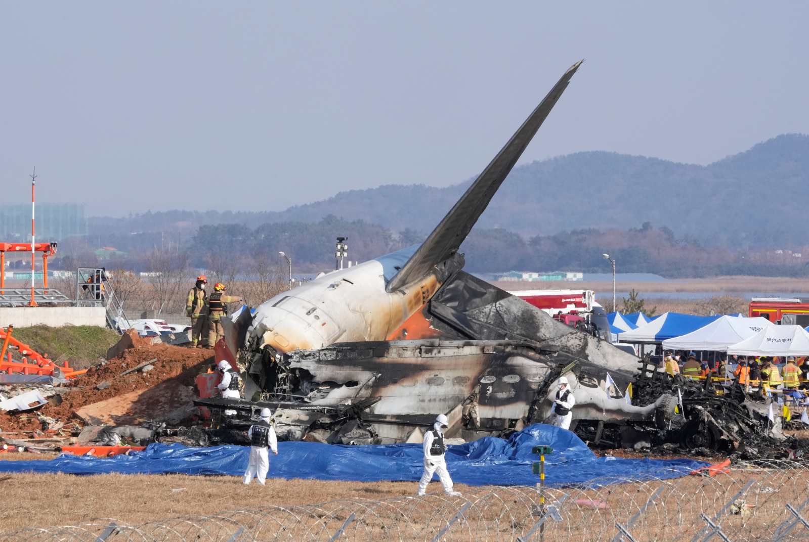 濟州航空-空難-墜機-韓國-飛安-鳥擊